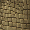 Croc Scales - iPhone 17 Pro Max Case