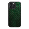 iPhone 15 Pro Max Case with MagSafe – Slytherin Senses
